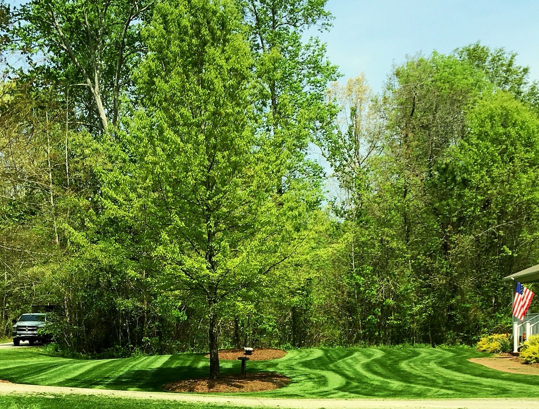 Mowing in Clinton, SC