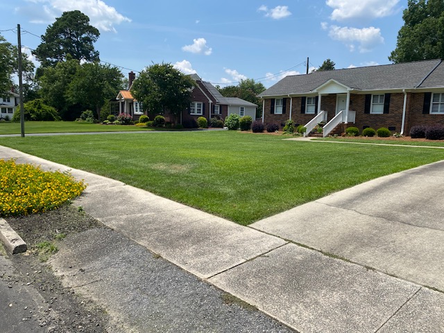 Professional mowing in Clinton, SC (3)