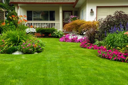 Lawn Fertilization