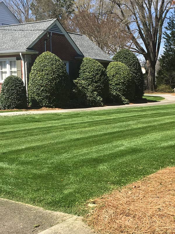 Lawn Mowing Image