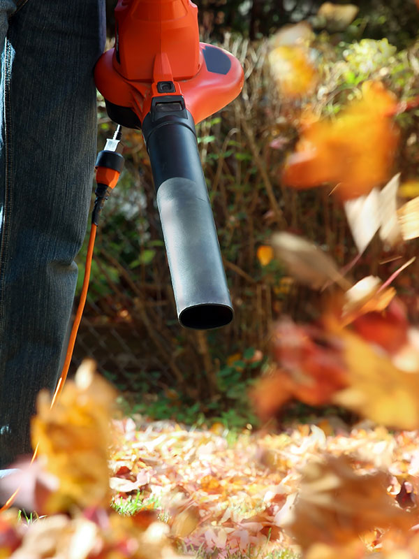 Leaf Clean-up Image